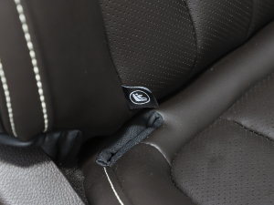 20232.0L CNGLSAI\ 9 g