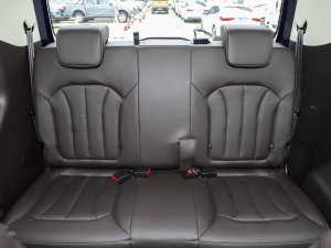 20232.0L CNGLSAI\ 9 g