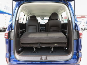 20232.0L CNGLSAI\ 9 g