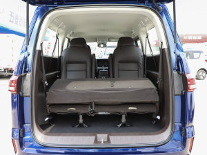 20232.0L CNGLSAI\ 9 g