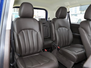 20232.0L CNGLSAI\ 9 g