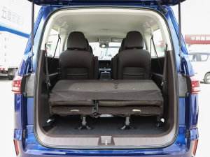 20232.0L CNGLSAI\ 9 g