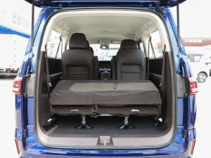 20232.0L CNGLSAI\ 9 g