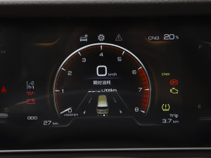 20232.0L CNGLSAI\ 9 п؅^(q)