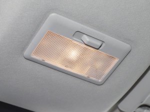 20231.6L (bio)S(chung) 5 п؅^(q)