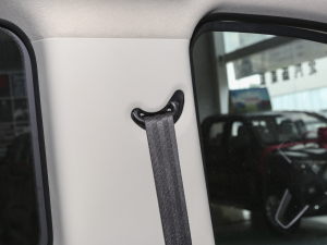 20232.0L ԄLS(chung) 7 g