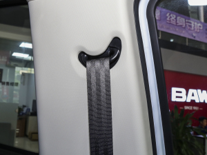 20231.6L LS(chung) 9 g