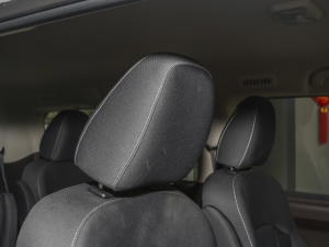 20231.6L LS(chung) 9 g