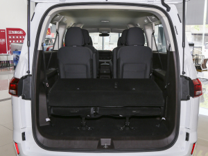 20231.6L LS(chung) 9 g