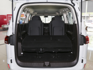 20231.6L LS(chung) 9 g