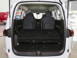 20231.6L LS(chung) 9 g