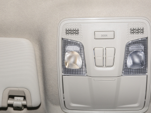 20232.0L Ԅ (bio)S ɾ п؅^(q)