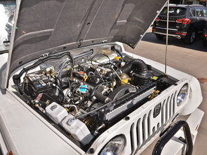 2010款2.0L 五门加长版 其它
