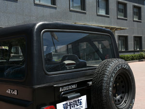 20162.0L T (q)A IV (x)(ji)^