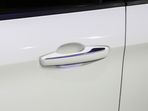 20191.5T PHEV Pro {T