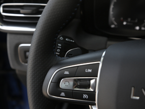 20191.5T PHEV Pro п؅^