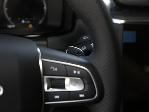 20191.5T PHEV Pro п؅^