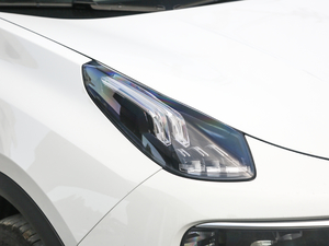 20191.5T PHEV Pro VI ^