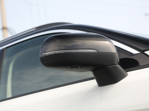 20191.5T PHEV Pro VI ^