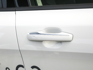 20191.5T PHEV Pro VI {T