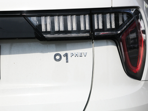 20191.5T PHEV Pro VI ^