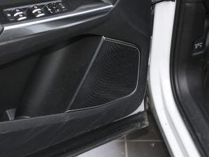 20191.5T PHEV Pro VI g