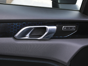 20191.5T PHEV Pro VI g