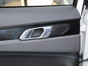 20191.5T PHEV Pro VI g