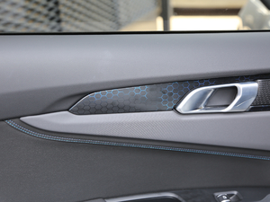 20191.5T PHEV Pro VI g