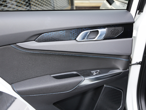 20191.5T PHEV Pro VI g