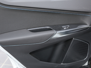 20191.5T PHEV Pro VI g