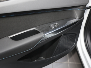 20191.5T PHEV Pro VI g