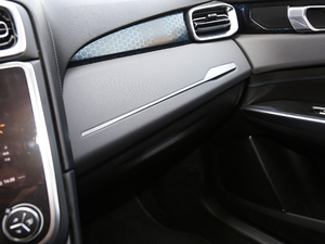 20191.5T PHEV Pro VI g