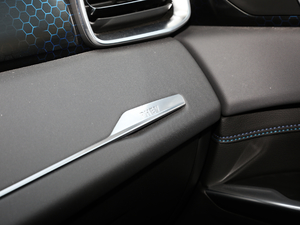 20191.5T PHEV Pro VI g