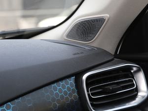 20191.5T PHEV Pro VI g