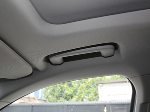 20191.5T PHEV Pro VI g