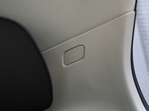 20191.5T PHEV Pro VI g