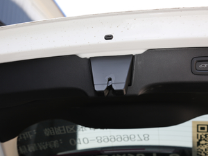 20191.5T PHEV Pro VI g