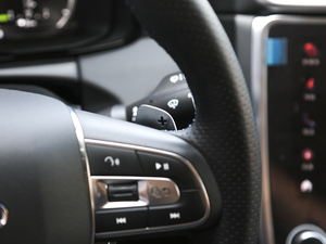 20191.5T PHEV Pro VI п؅^(q)