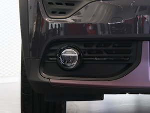 2019ܰ 2.0TD  ҫPro VI ^