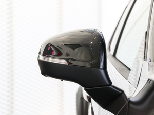 2019ܰ 2.0TD  ҫPro VI ^