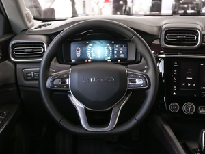 2019ܰ 2.0TD  ҫPro VI п؅^