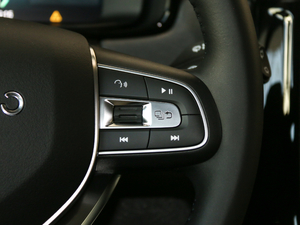 2019ܰ 2.0TD  ҫPro VI п؅^