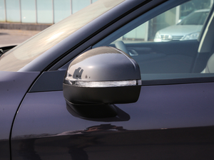 2019ܰ 2.0TD  ҫPro VI ^