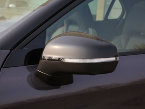 2019ܰ 2.0TD  ҫPro VI ^