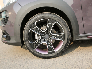 2019ܰ 2.0TD  ҫPro VI ^