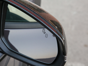 2019ܰ 2.0TD  ҫPro VI ^