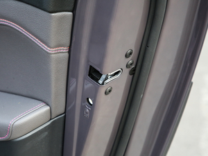 2019ܰ 2.0TD  ҫPro VI g