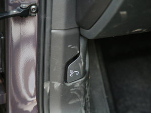 2019ܰ 2.0TD  ҫPro VI п؅^