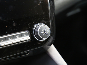 2019ܰ 2.0TD (q) ҫPro VI п؅^(q)